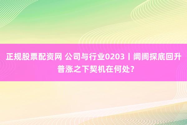 正规股票配资网 公司与行业0203丨阛阓探底回升  普涨之下契机在何处？