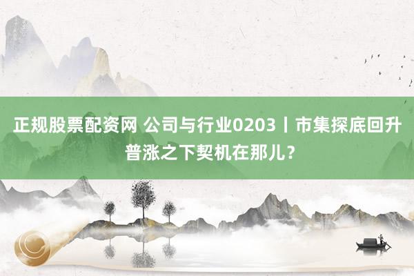 正规股票配资网 公司与行业0203丨市集探底回升 普涨之下契机在那儿？