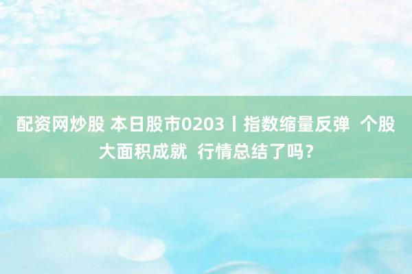 配资网炒股 本日股市0203丨指数缩量反弹  个股大面积成就  行情总结了吗？
