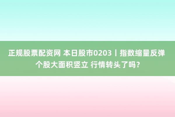 正规股票配资网 本日股市0203丨指数缩量反弹 个股大面积竖立 行情转头了吗？