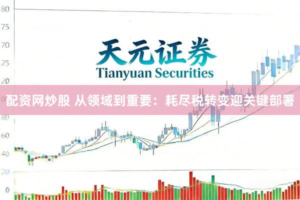 配资网炒股 从领域到重要：耗尽税转变迎关键部署