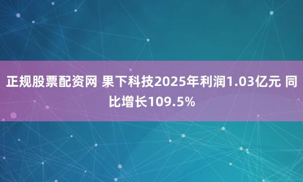 正规股票配资网 果下科技2025年利润1.03亿元 同比增长109.5%