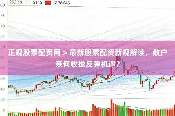 正规股票配资网 > 最新股票配资新规解读，散户奈何收拢反弹机遇？